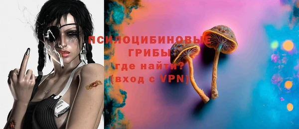 гашик Елабуга