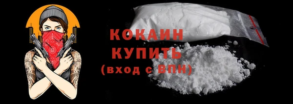 ГАЛЛЮЦИНОГЕННЫЕ ГРИБЫ Ельня