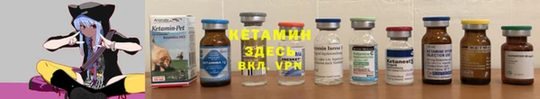 сатива Елизово