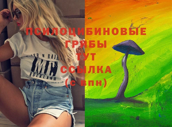 mdpv Беломорск