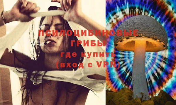 mdpv Беломорск