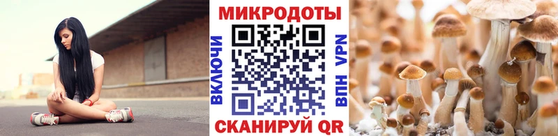 что такое   Няндома  Псилоцибиновые грибы мицелий 